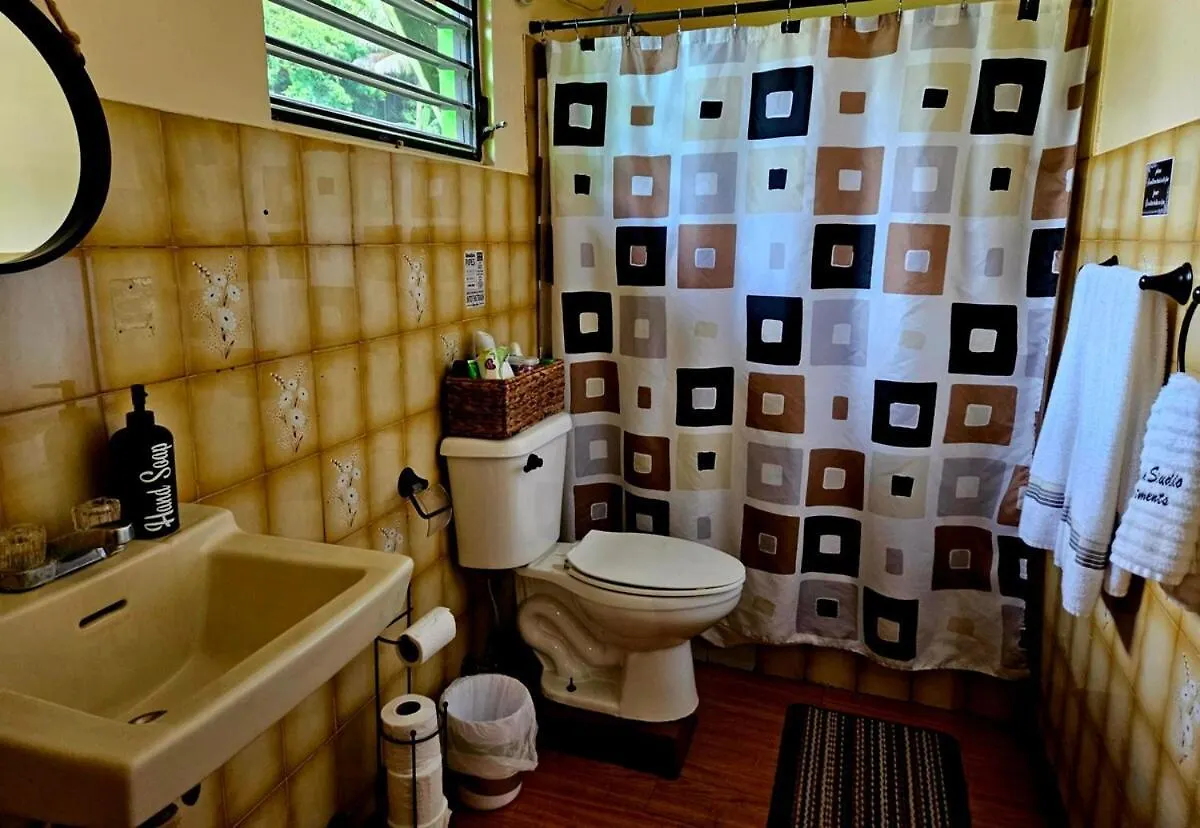 West Side Studio Apartments Añasco
